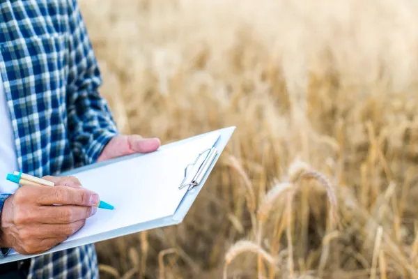 Cuadernos de Campo