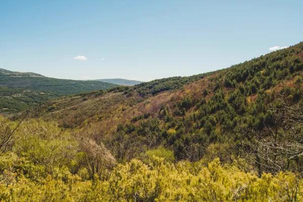 Ingeniería Agrícola y de Montes